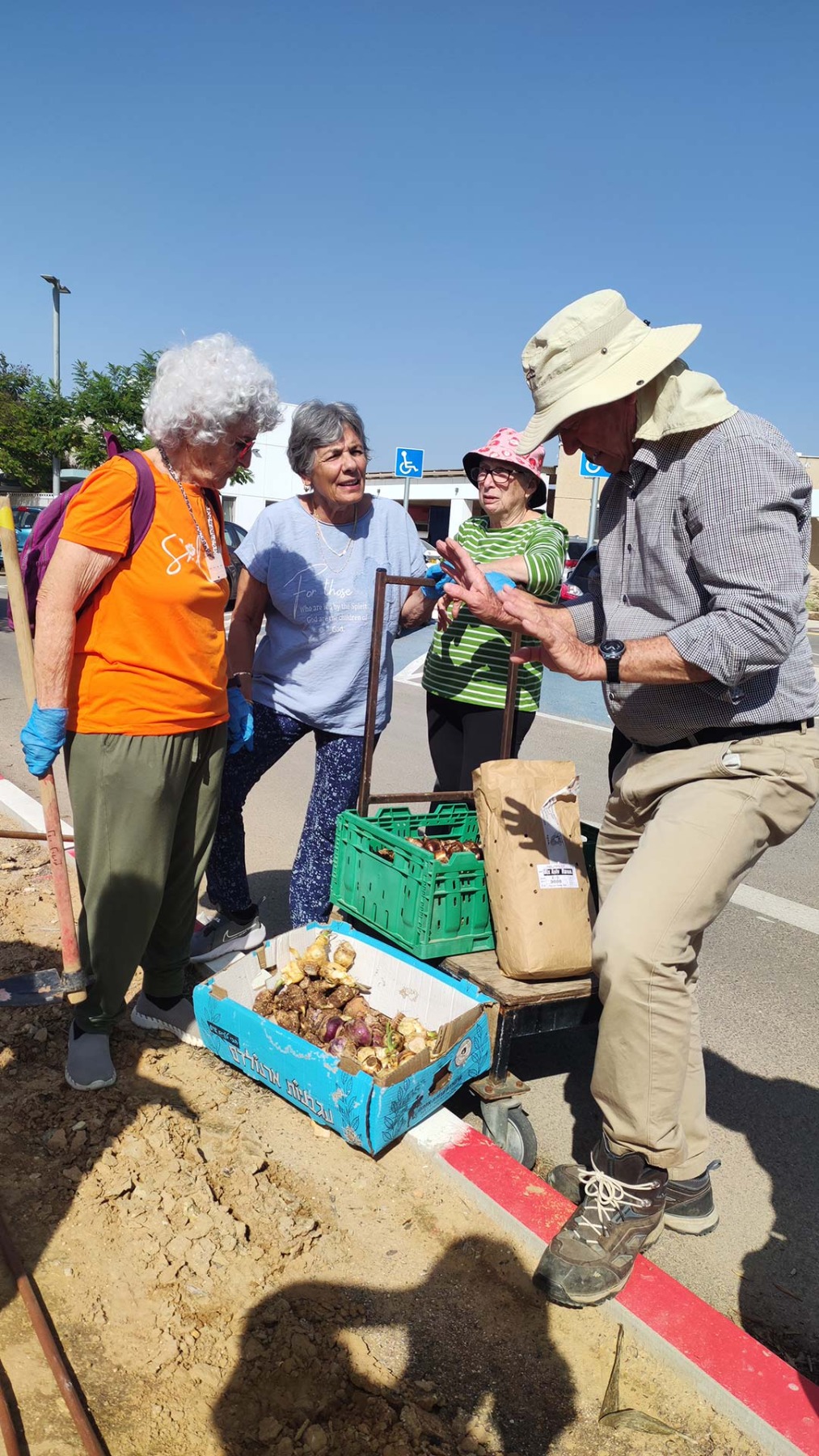 שתילת פקעות בנווה אשכול