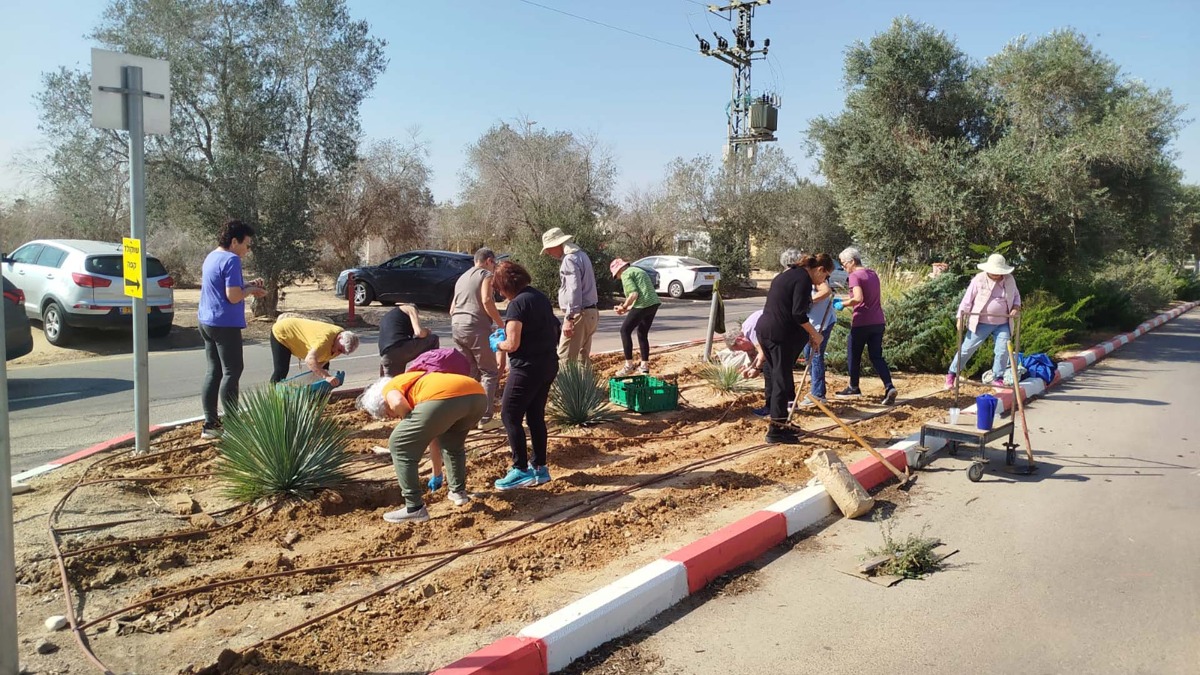 שתילת פקעות בנווה אשכול