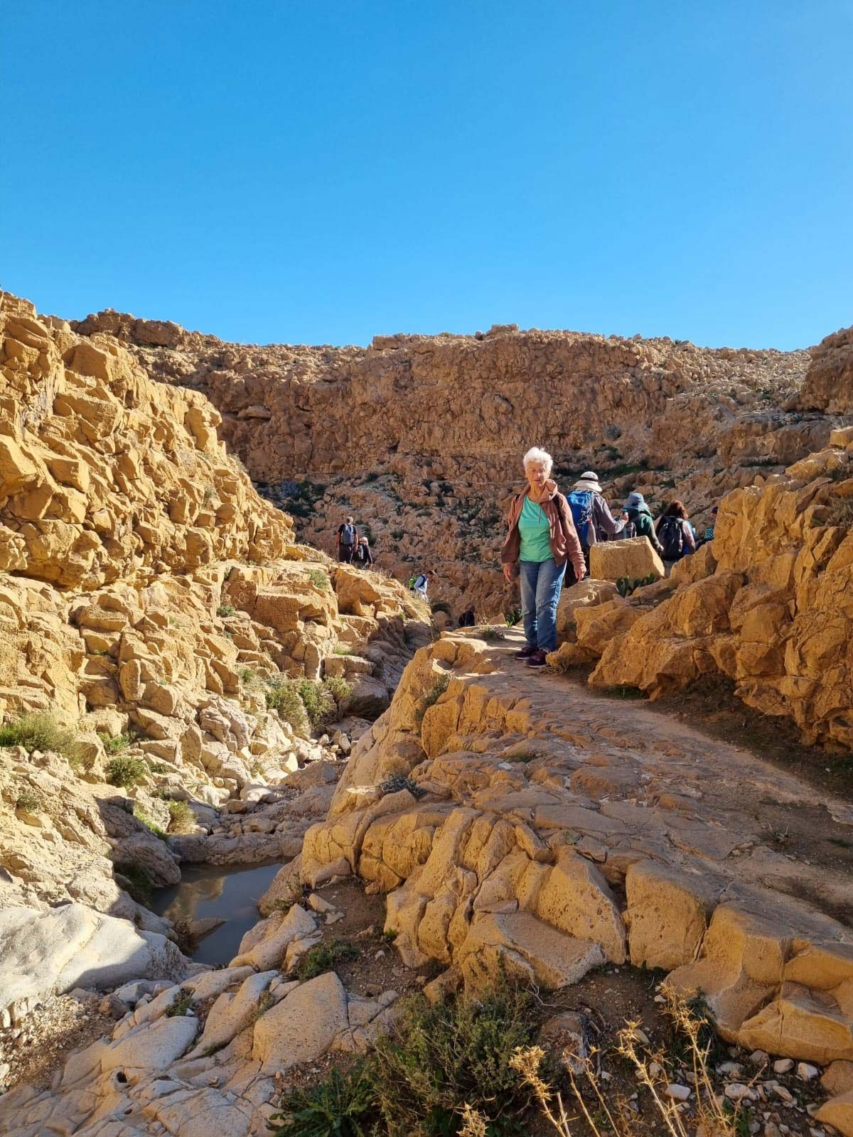 נווה אשכול מטיילים בשבילי ישראל עם יוני שטרן - נחל רחף עליון