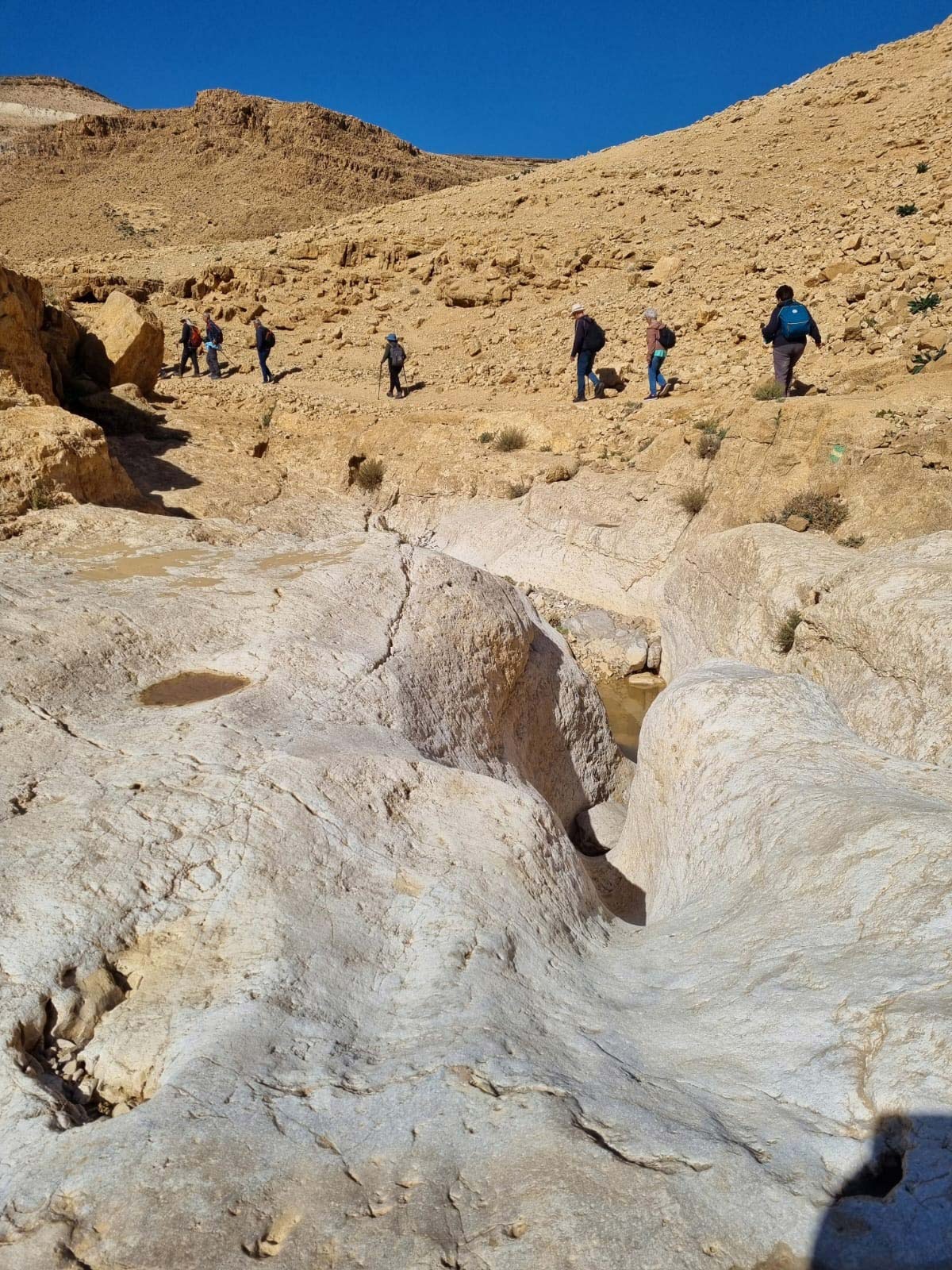 נווה אשכול מטיילים בשבילי ישראל עם יוני שטרן - נחל רחף עליון
