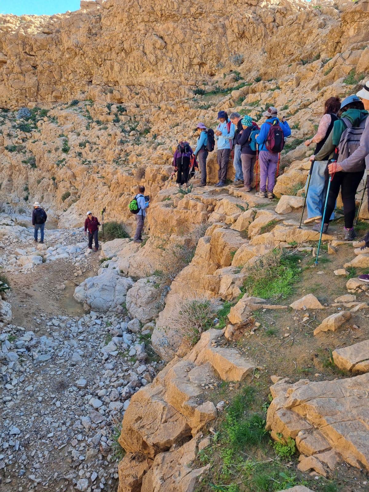 נווה אשכול מטיילים בשבילי ישראל עם יוני שטרן - נחל רחף עליון
