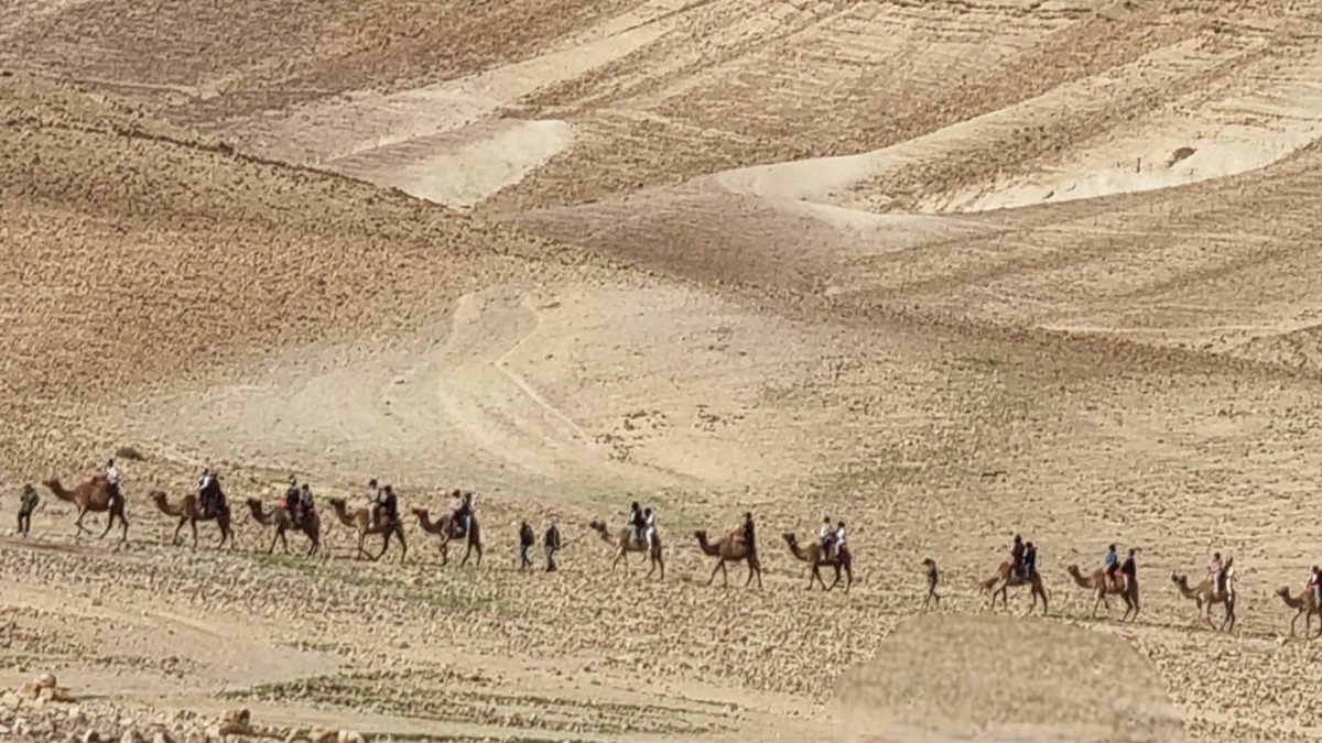 נווה אשכול מטיילים בשבילי ישראל עם יוני שטרן - נחל רחף עליון