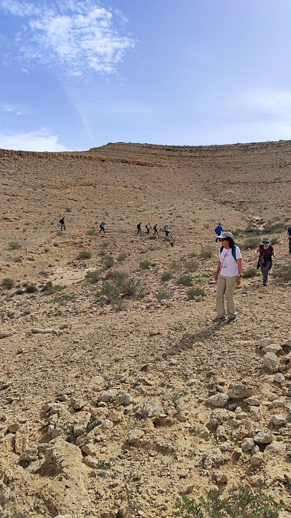 נווה אשכול מטיילים בשבילי ישראל עם יוני שטרן - נחלים חצץ ומצדים