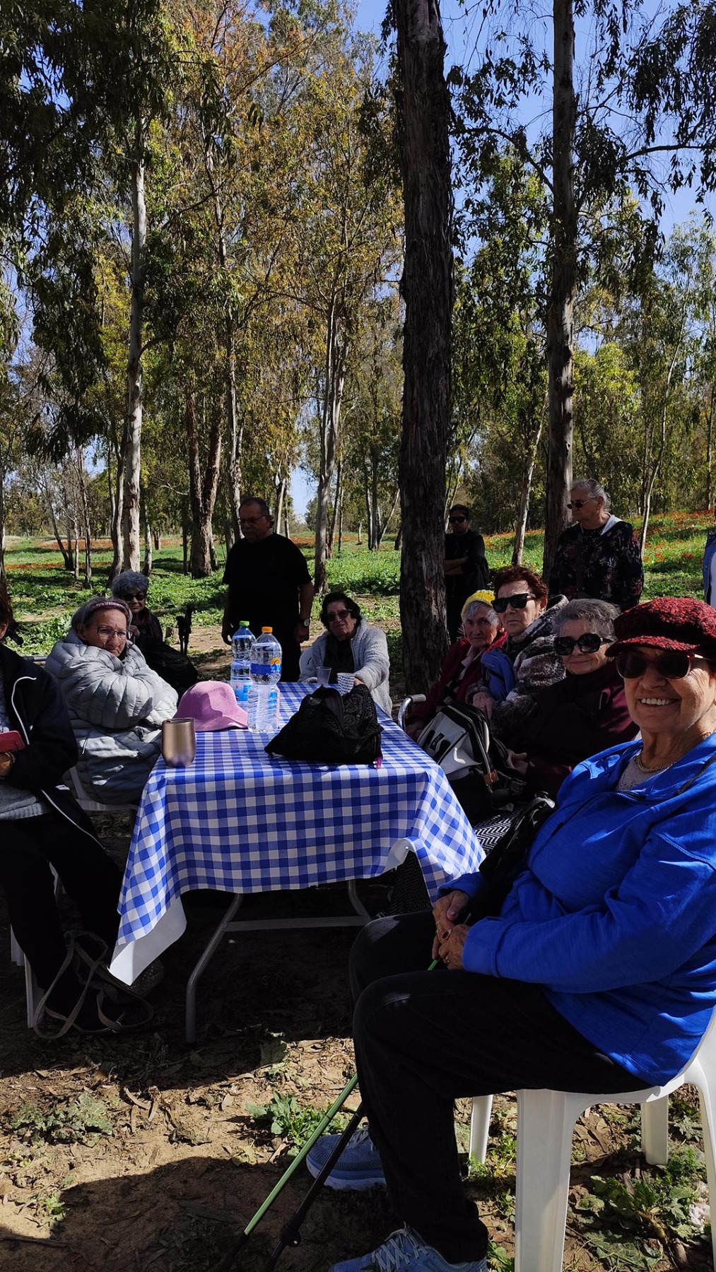 טיול פריחת כלניות בבאר מרווה ביער שוקדה