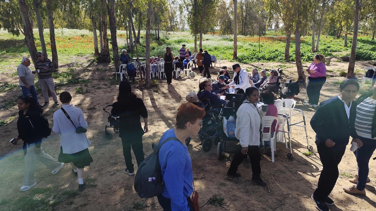 טיול פריחת כלניות בבאר מרווה ביער שוקדה