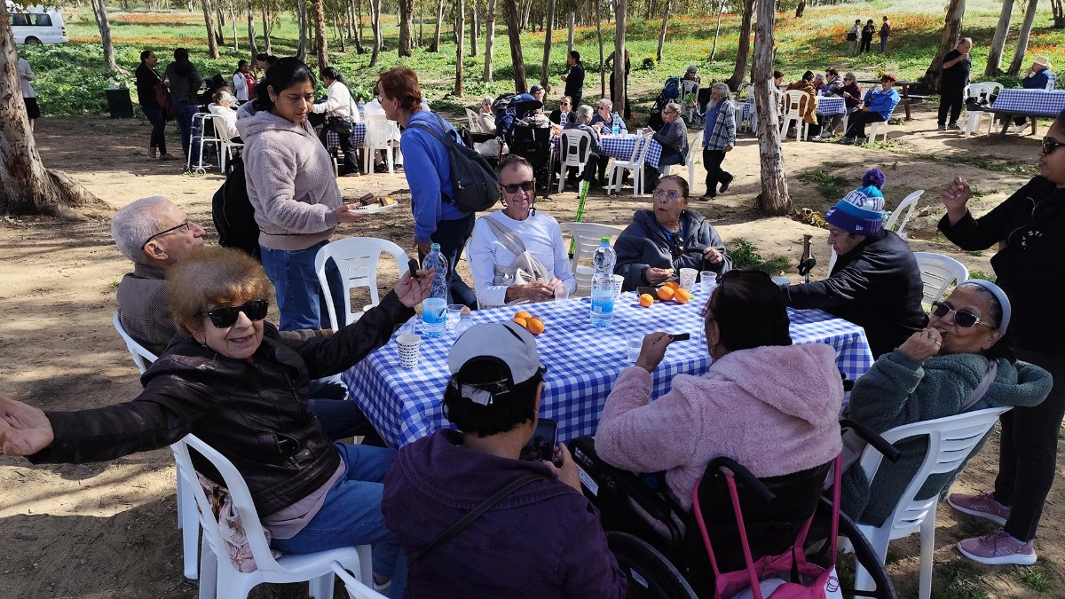 טיול פריחת כלניות בבאר מרווה ביער שוקדה