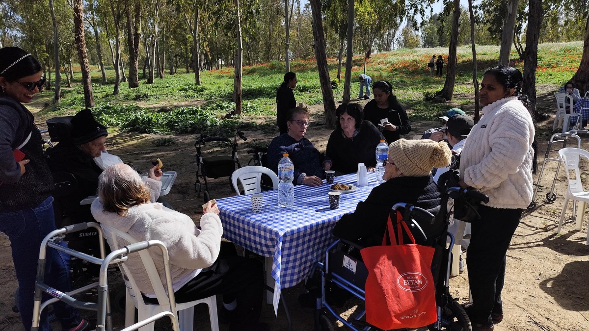 טיול פריחת כלניות בבאר מרווה ביער שוקדה